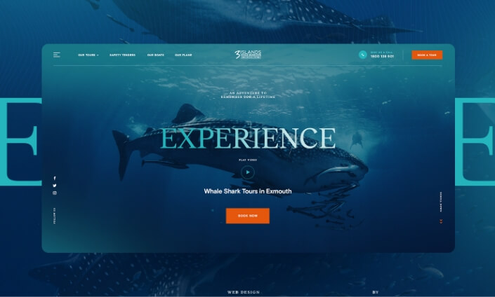 Web Design Case Study | Three Islands Whale Shark Dive | Dilate Digital
